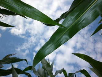 Similar image 2990461