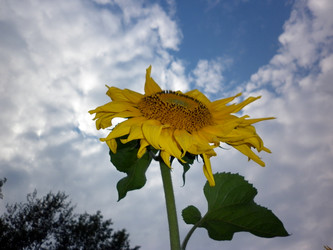 Similar image 2990462