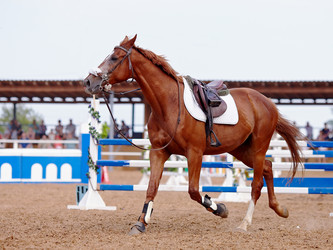 Similar image 2990559