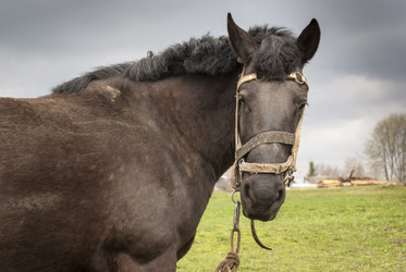 Similar image 2990562