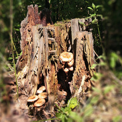 Similar image 2990585