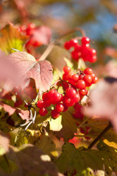 Similar image 2990768