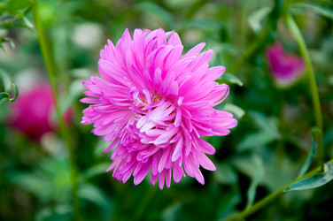 Similar image 2990772