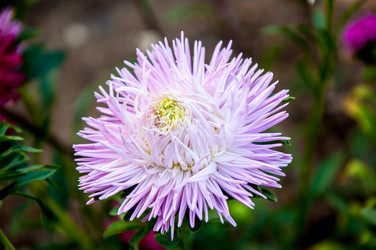 Similar image 2990773