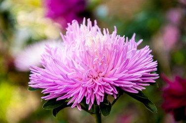 Similar image 2990774