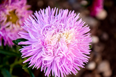 Similar image 2990778