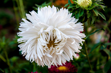 Similar image 2990779