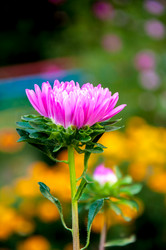 Similar image 2990780