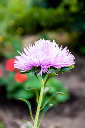 Similar image 2990781