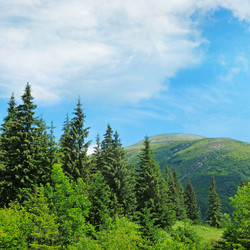 Similar image 2990813