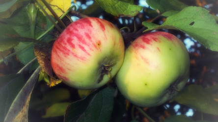 Similar image 2990816