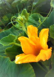 Similar image 2990818