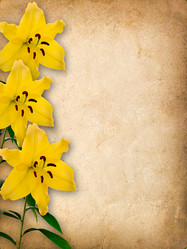 Similar image 2990824