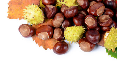 Similar image 2990996