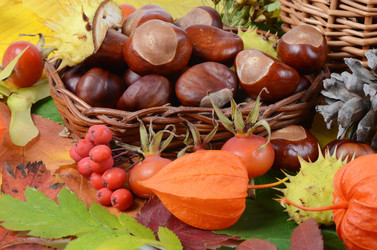 Similar image 2990997