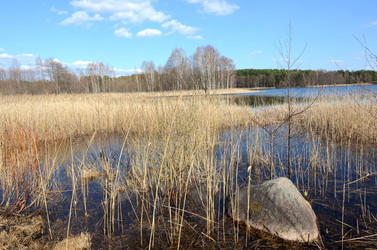 Similar image 2991005