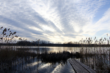 Similar image 2991006