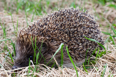 Similar image 2991007