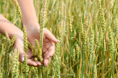 Similar image 2991016