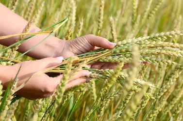 Similar image 2991017