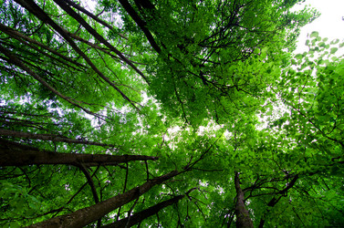 Similar image 2991021