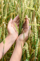 Similar image 2991024