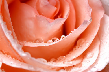 Similar image 2991027