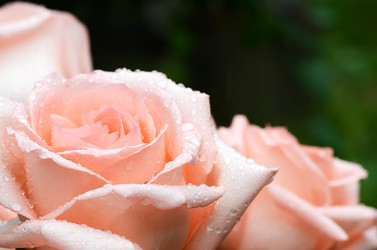 Similar image 2991029