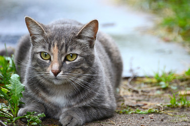 Similar image 2991032