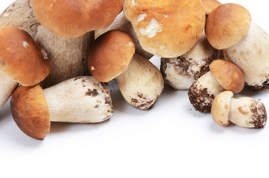 Similar image 2991039