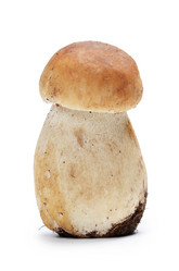 Similar image 2991040