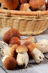 Similar image 2991043