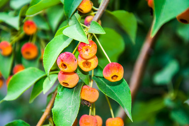 Similar image 2991058