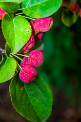 Similar image 2991059