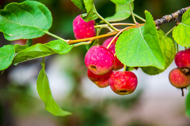 Similar image 2991061