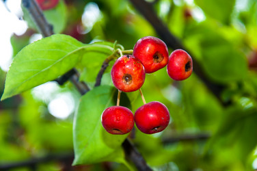 Similar image 2991063