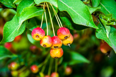 Similar image 2991064