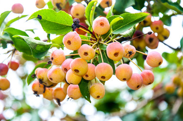 Similar image 2991066