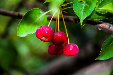 Similar image 2991067