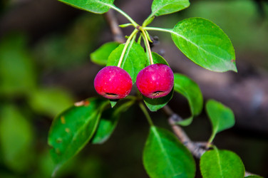 Similar image 2991069