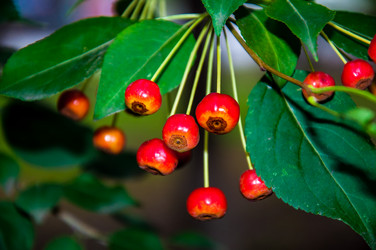 Similar image 2991070