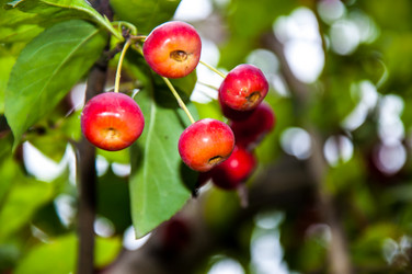 Similar image 2991071