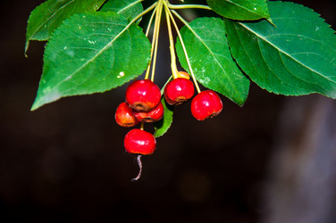 Similar image 2991072