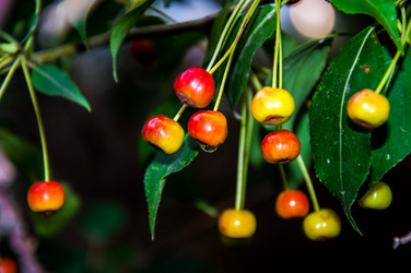 Similar image 2991073