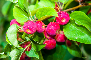 Similar image 2991074