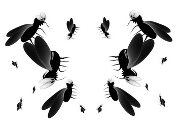 Similar image 2991085