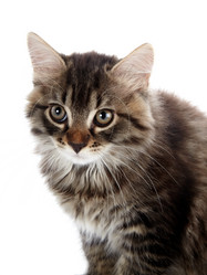 Similar image 2991278