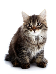 Similar image 2991280