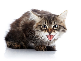 Similar image 2991281