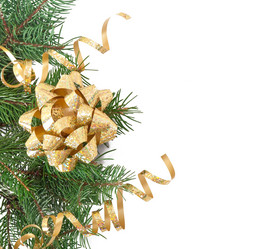 Similar image 2991355